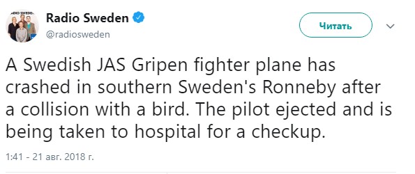 В Швеции разбился истребитель после столкновения с птицей